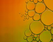 DMS in Beer: Causes, Effects, and Prevention