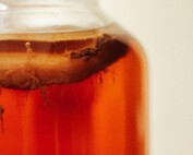 Reusing Yeast in Home Brewing