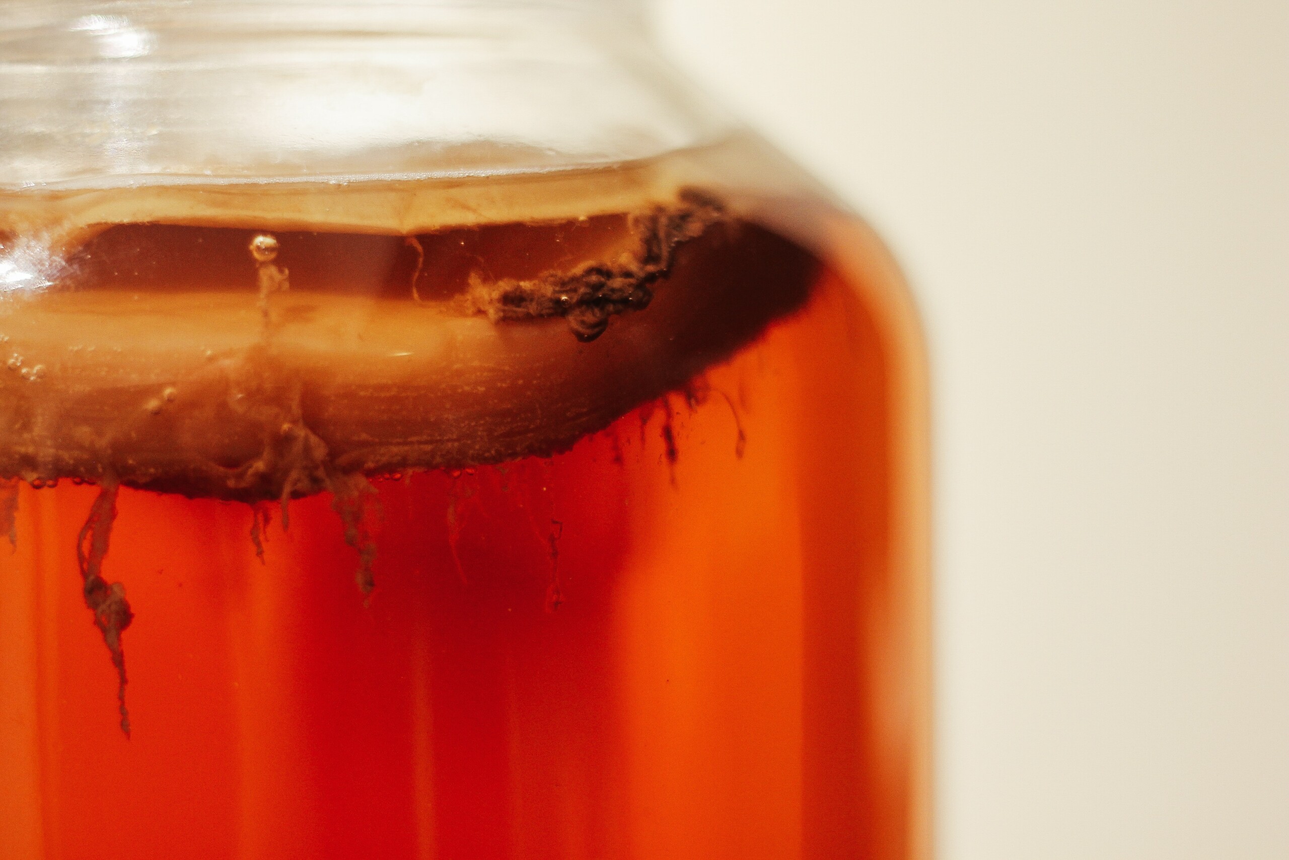 Reusing Yeast in Home Brewing