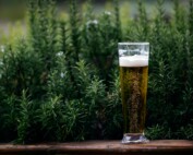 How to Get Clear Beer