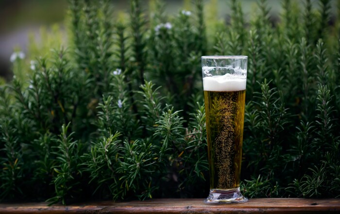 How to Get Clear Beer